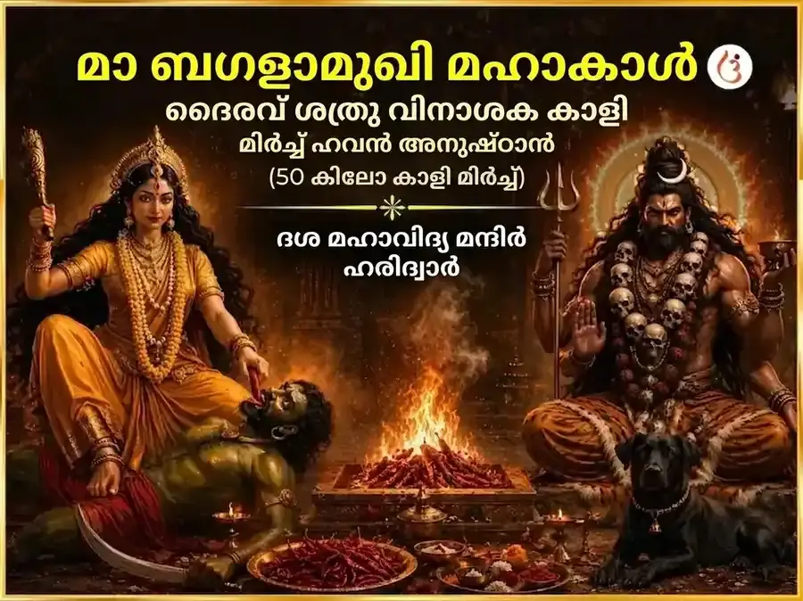 മാ ബഗളാമുഖി മഹാ കാൽ ഭൈരവ് ശത്രു വിനാശക് കാളി മിർച്ച് ഹവൻ - Utsav Puja