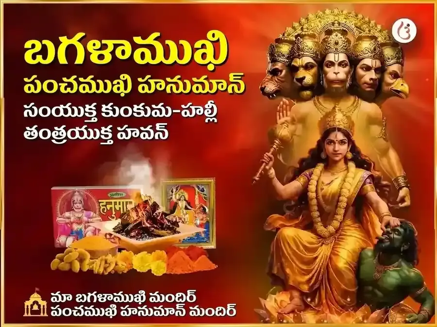 మా బగళాముఖి పంచముఖి హనుమాన్ సంయుక్త కుంకుమ హల్దీ తంత్రయుక్త మహా హవనం - Utsav Puja