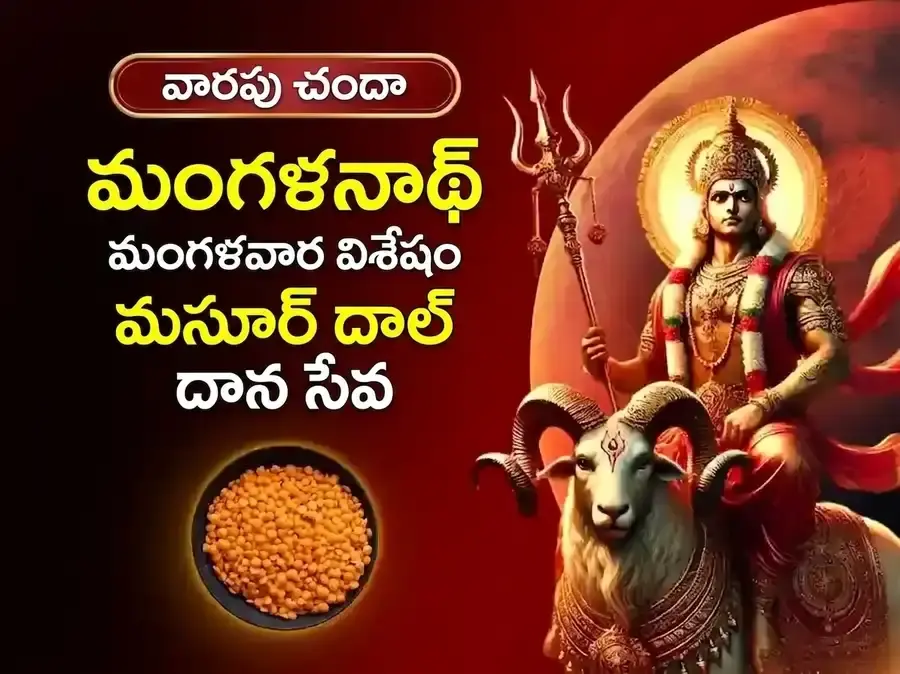 మంగళవార విశేష్ మంగళ్నాథ్ వారపు మసూర్ దాల్ దాన్ సేవ - Utsav Puja