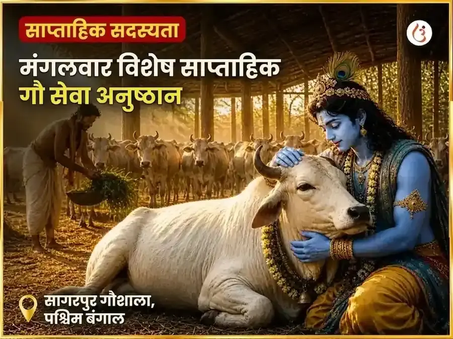 मंगलवार विशेष साप्ताहिक गौ सेवा अनुष्ठान - Utsav Puja