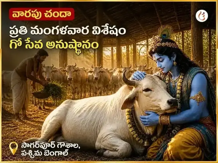 మంగళవార విశేష వారపు గౌ సేవా అనుష్ఠానం - Utsav Puja