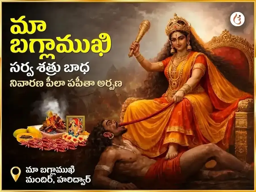 మా బగళాముఖి సర్వ శత్రు బాధా నివారణ పీలా పపీతా అర్పణ - Utsav Puja