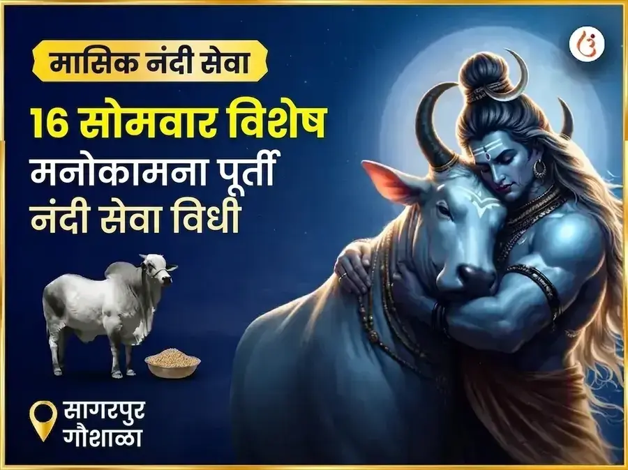सोमवार विशेष मनोकामना पूर्ती साप्ताहिक नंदी सेवा - Utsav Puja