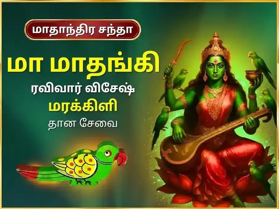 ரவிவார் விசேஷ மா மாதங்கி வாராந்திர மரக்கிளி தான சேவா - Utsav Puja