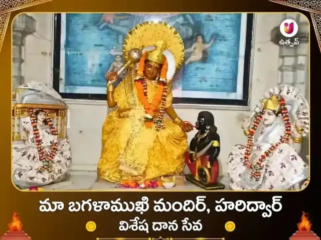 మా బగళాముఖి మందిర్ హరిద్వార్ విశేష దాన సేవ - Bhet Offering