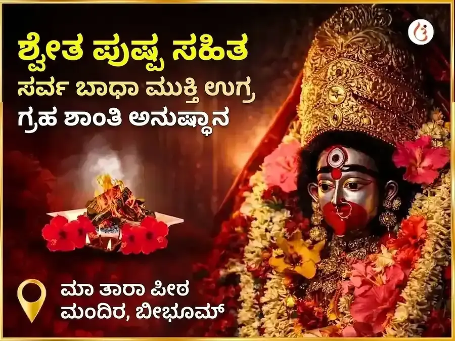 ಶ್ವೇತ ಪುಷ್ಪ ಸಹಿತ ಸರ್ವ ಬಾಧಾ ಮುಕ್ತಿ ಉಗ್ರ ಗ್ರಹ ಶಾಂತಿ ಮಹಾನುಷ್ಠಾನ - Utsav Puja