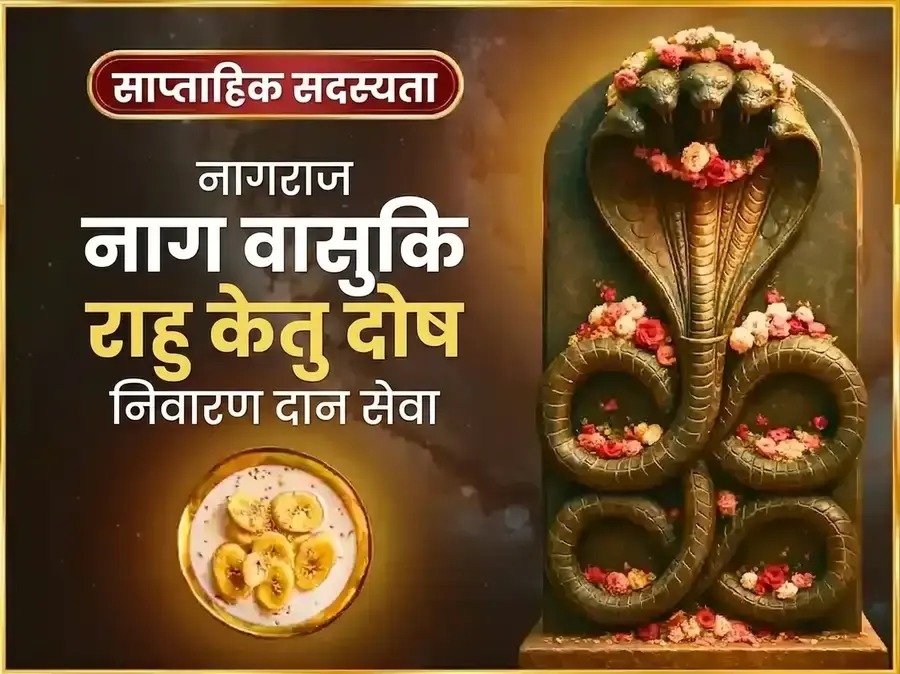 सोमवार राहु केतु दोष निवारण साप्ताहिक नागवासुकि दान सेवा - Utsav Puja
