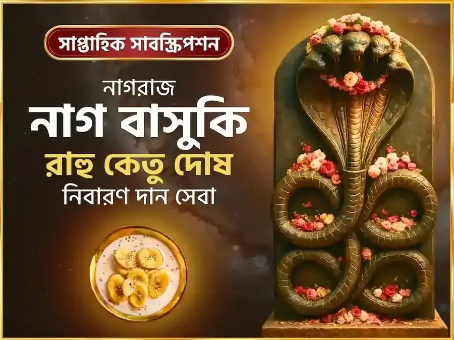 সোমবার রাহু কেতু দোষ নিবারণ সাপ্তাহিক নাগবাসুকি দান সেবা - Utsav Puja