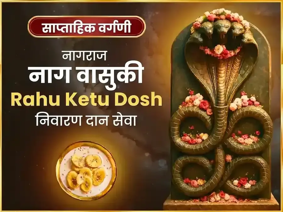 सोमवार राहू केतू दोष निवारण साप्ताहिक नागवासुकी दान सेवा - Utsav Puja