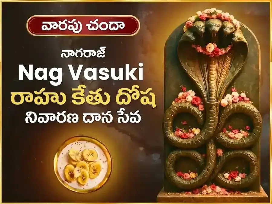 సోమవార రాహు కేతు దోష నివారణ వారపు నాగవాసుకి దాన సేవ - Utsav Puja