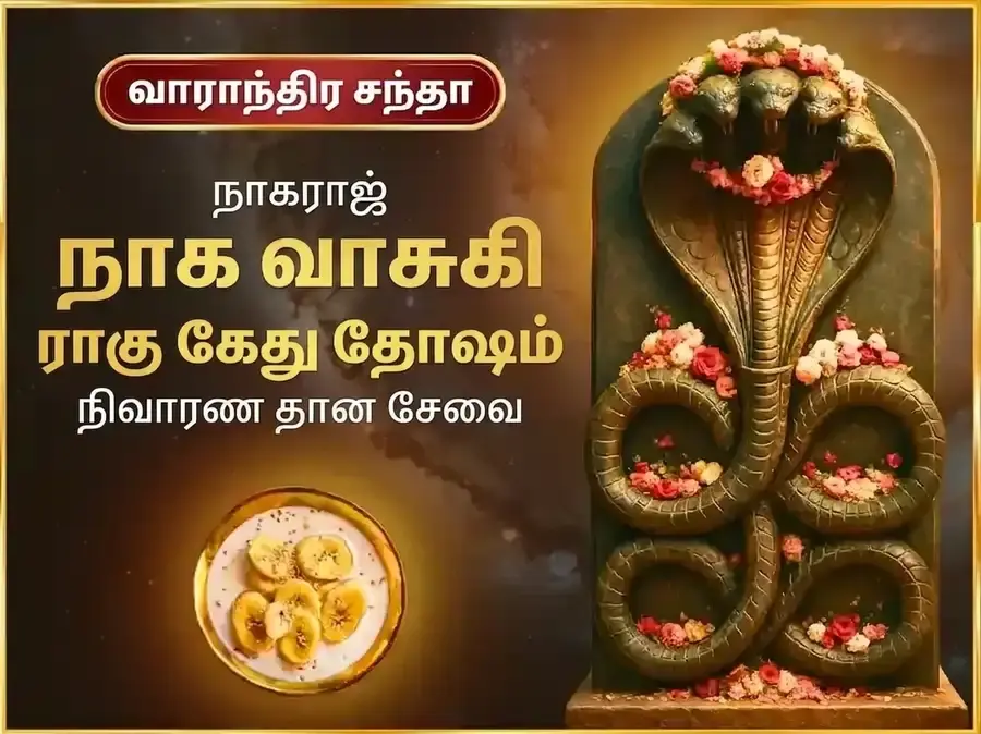 சோமவார ராகு கேது தோஷ நிவாரண வாராந்திர நாகவாசுகி தான சேவா - Utsav Puja