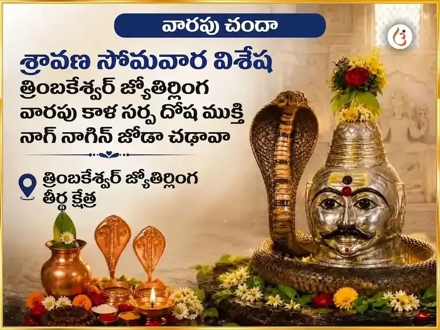 కాల సర్ప దోష నివారణ కోసం శ్రావణ సోమవార విశేష త్ర్యంబకేశ్వర జ్యోతిర్లింగ నాగ-నాగిని జోడి సమర్పణ  - Utsav Puja