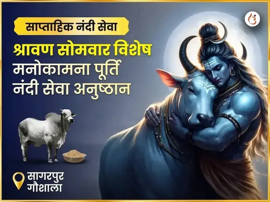 श्रावण सोमवार विशेष मनोकामना पूर्ति साप्ताहिक नंदी सेवा - Utsav Puja