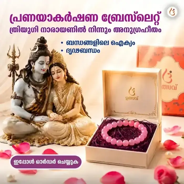 ഊർജ്ജസ്വലമാക്കിയ പ്രണയാകർഷണ ബ്രേസ്ലെറ്റ്