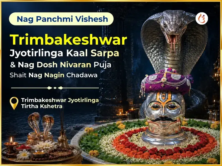Nag Panchmi Vishesh Trimbakeshwar Jyotirlinga Kal Sarpa & Nag Dosh Nivaran Puja Sahit Nag Nagin Chadawa - Utsav Puja