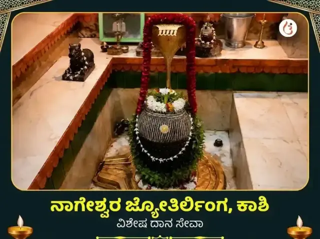 ನಾಗೇಶ್ವರ ಜ್ಯೋತಿರ್ಲಿಂಗ ಕಾಶಿ ವಿಶೇಷ ದಾನ ಸೇವಾ - Bhet Offering