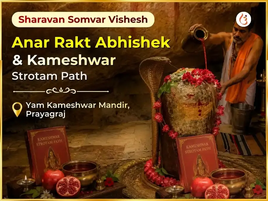 Sharavan Somvar Vishesh Anar Rakt Abhishek & Kameshwar Strotam Path - Utsav Puja
