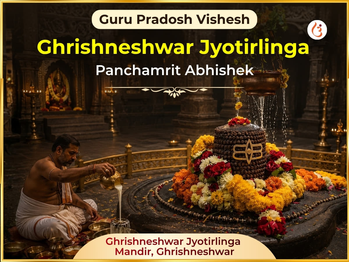 Guru Pradosh Vishesh Grishneshwar Jyotrling Panchamrit Abhishek - Utsav Puja