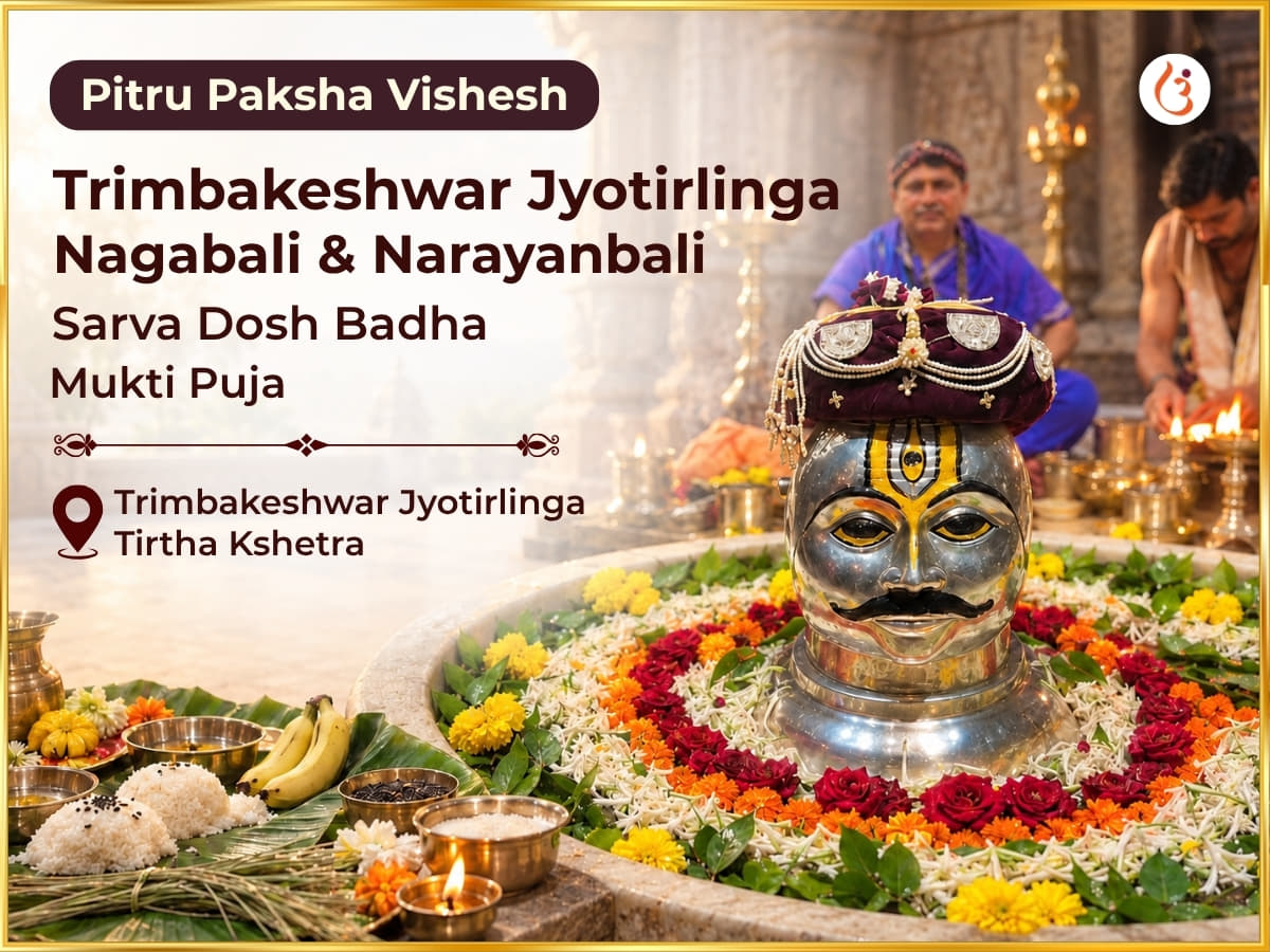 Pitru Paksha Vishesh Trimbakeshwar Jyotirlinga Nagabali and Narayanbali Sarva Dosh Badha Mukti Puja - Utsav Puja