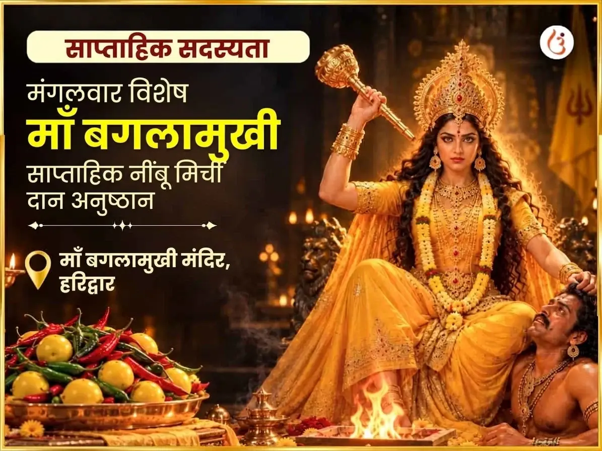 मंगलवार विशेष माँ बगलामुखी साप्ताहिक नींबू मिर्ची दान - Utsav Puja
