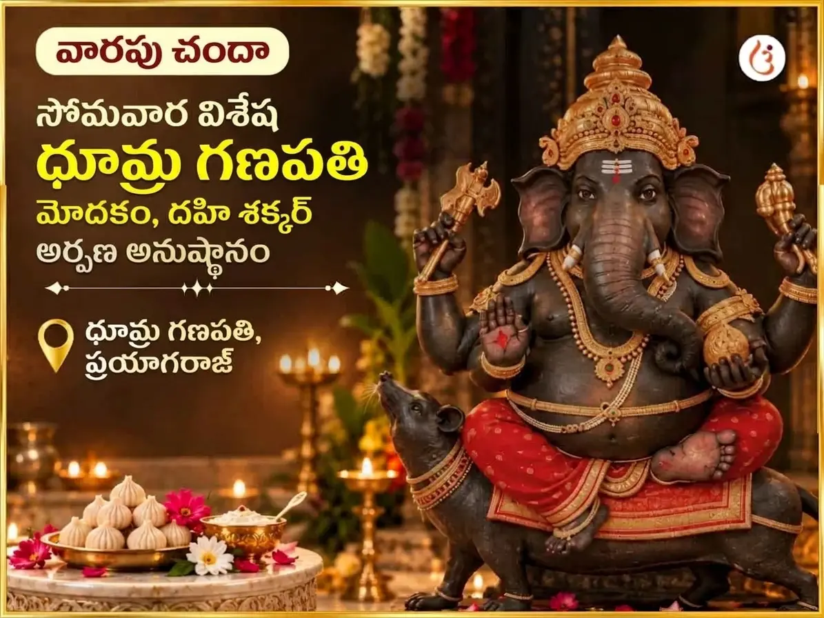 సోమవార్ విశేష్ ధూమ్ర గణపతి వారపు గణేష్ మోదక్ మరియు దహి శక్కర్ అర్పణ - Utsav Puja