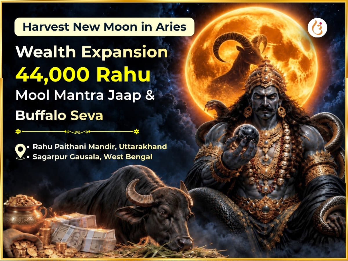 Harvest New Moon In Aries Special Wealth Expansion 44,000 Rahu Mool Mantra Jaap & Buffalo Seva - Utsav Puja