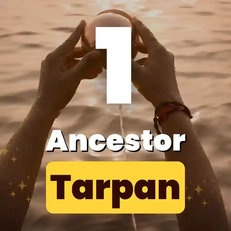 Pitra Tarpan