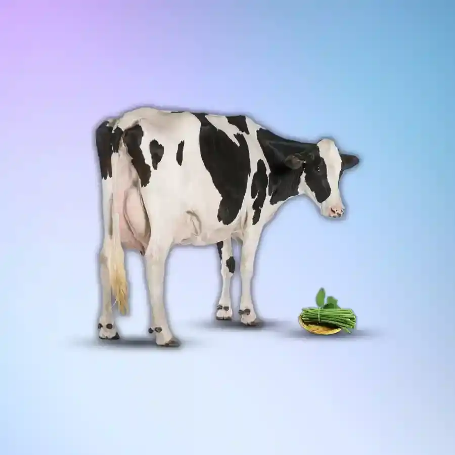 Slider sub event image