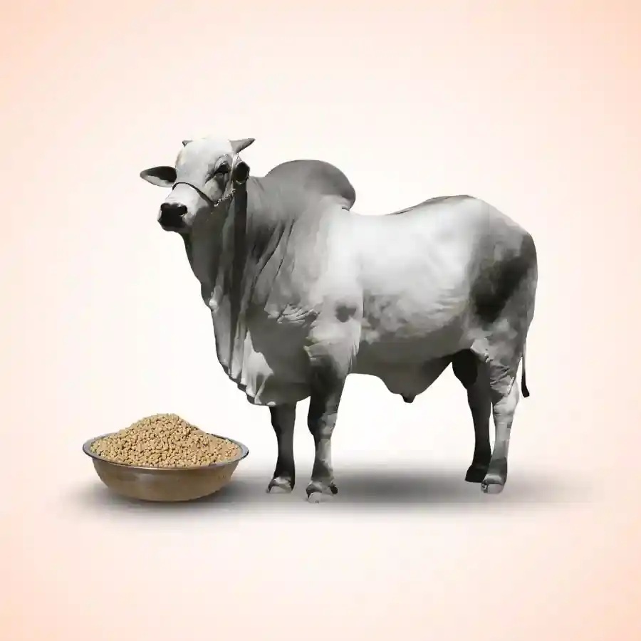 Slider sub event image