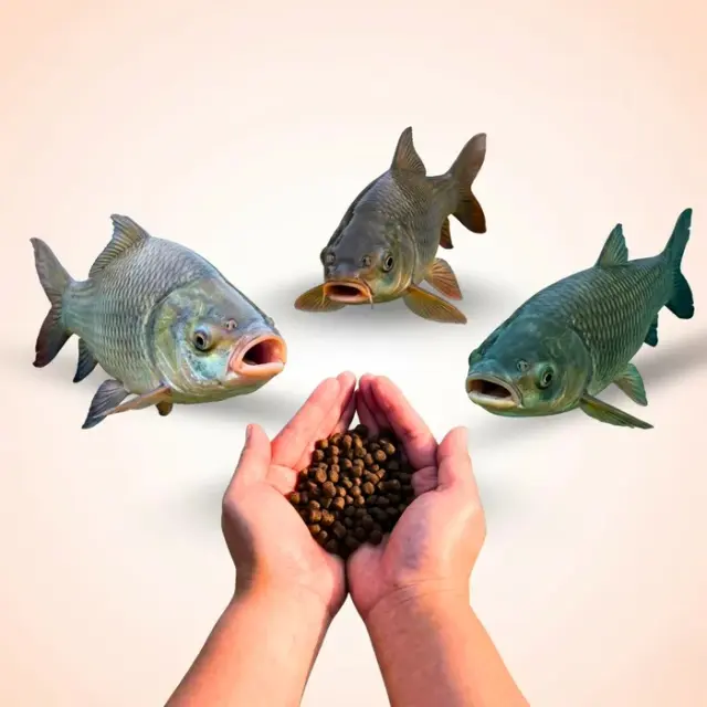 bhet image d0db6c4060e5414eb06dd4132a2c4b87