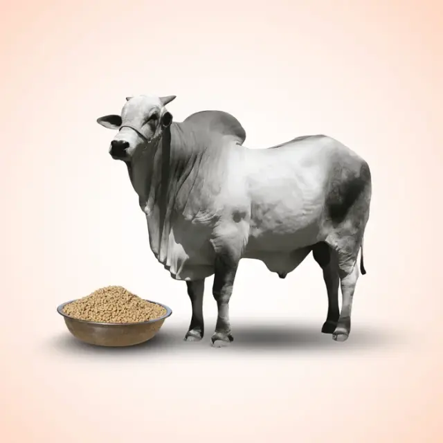 bhet image ab4245e66a154f9a8e454d1288c8e2b4