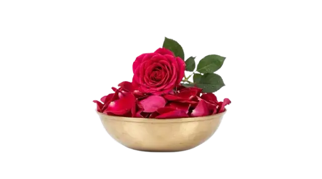 bhet image 21f178f08d0e4af78c5e3cdd9d8dc0da