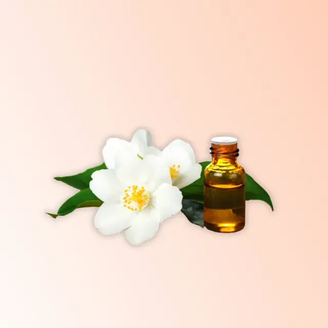 bhet image 452c1a29afb940529d0fe1a991b4f54a