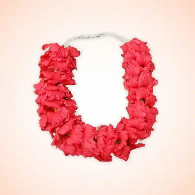 bhet image 128a9a2c05c147beb1359a4ade58fbfb