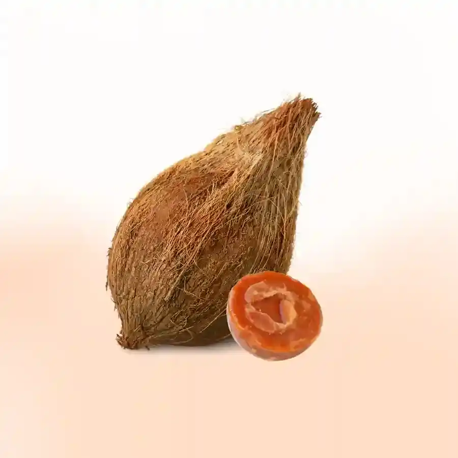 Gud & Coconut Daan