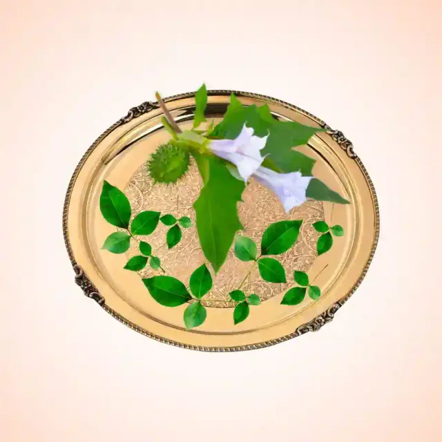 bhet image 3d5601567cd043129471428ee32ebe06