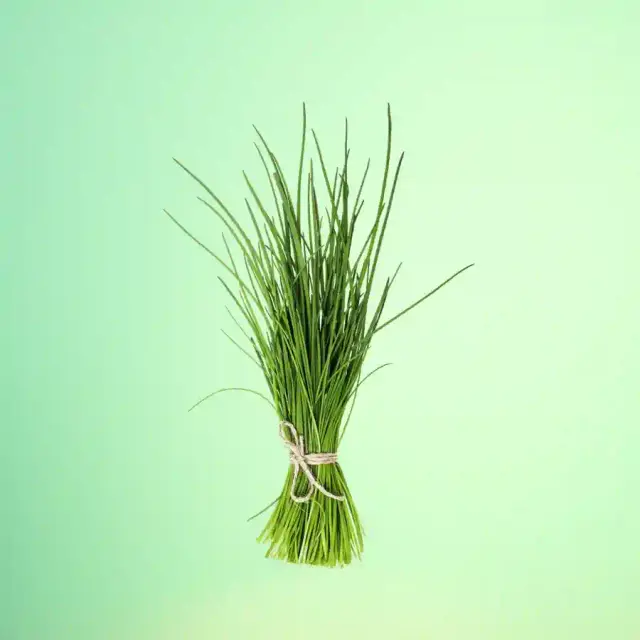 bhet image 94b0d1f7944b4fd9a92a5eb101a58af0