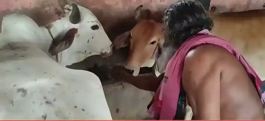 ബ്രാഹ്മണ ഭോജനും ഗൗ സേവയും