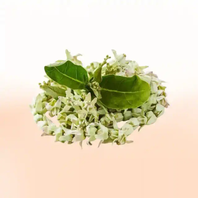 bhet image dfabaa31f9054ccb97abeabbdc3879a6