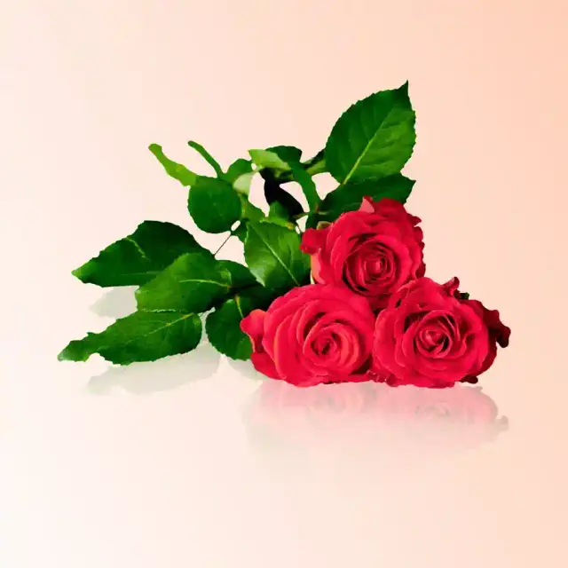 bhet image 352783ff5f09410ea729dda2ed95a2a0