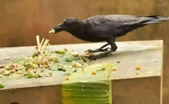 bhet image fa1422e46f2f492eb5fe4fa961c6b46f