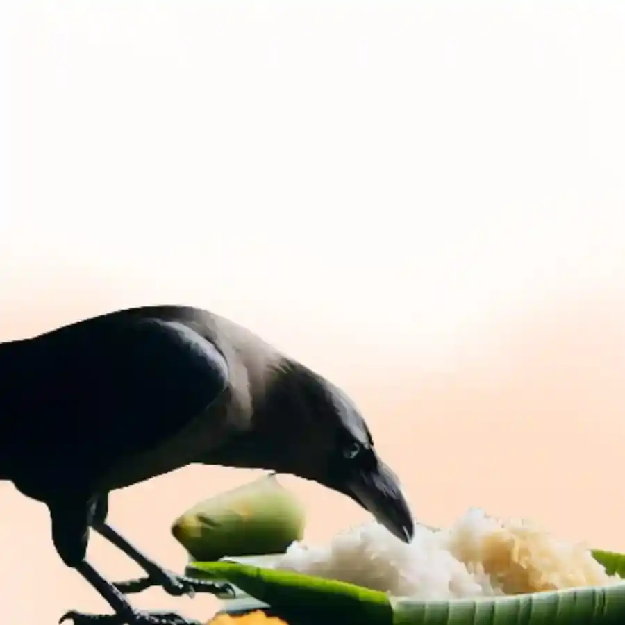 Slider sub event image